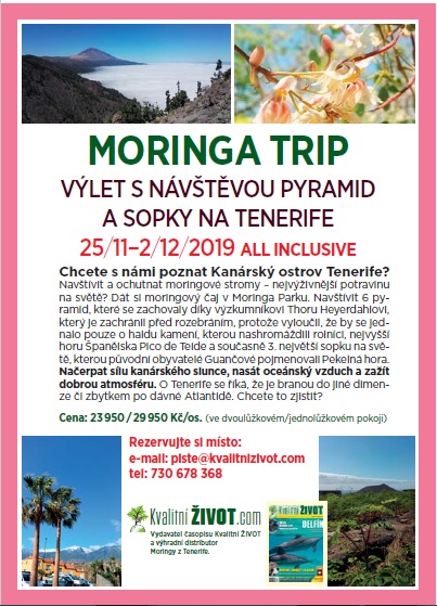 Moringa trip podzim